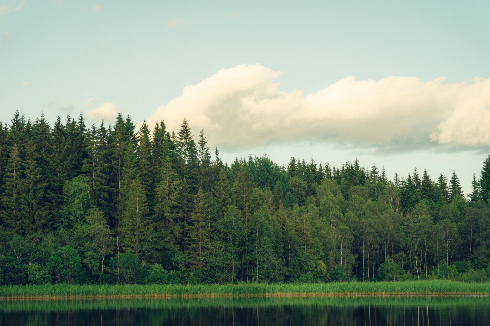 Serene Nordic lake at dawn